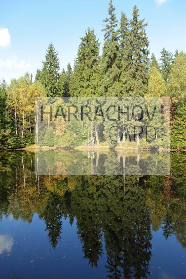Apartment Victoria Harrachov Exterior photo